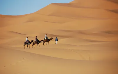 Touristes à dos de chameau dans le désert marocain