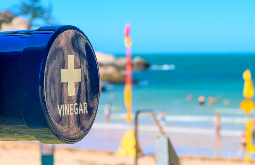 beach vinegar